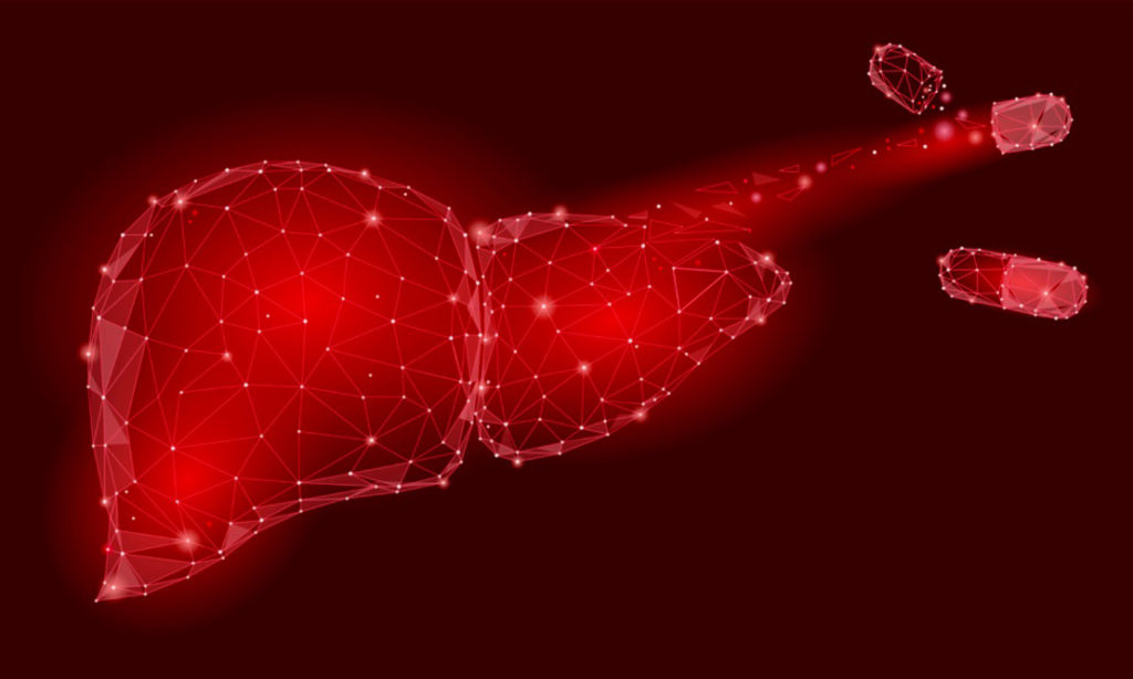 Drug metabolism studies determine a drug’s biotransformation and pharmacokinetic properties to evaluate safety