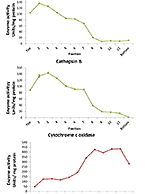 Enzymatic activity