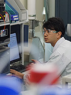 Researcher working at a computer