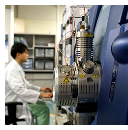 Researcher for mass balance analysis
