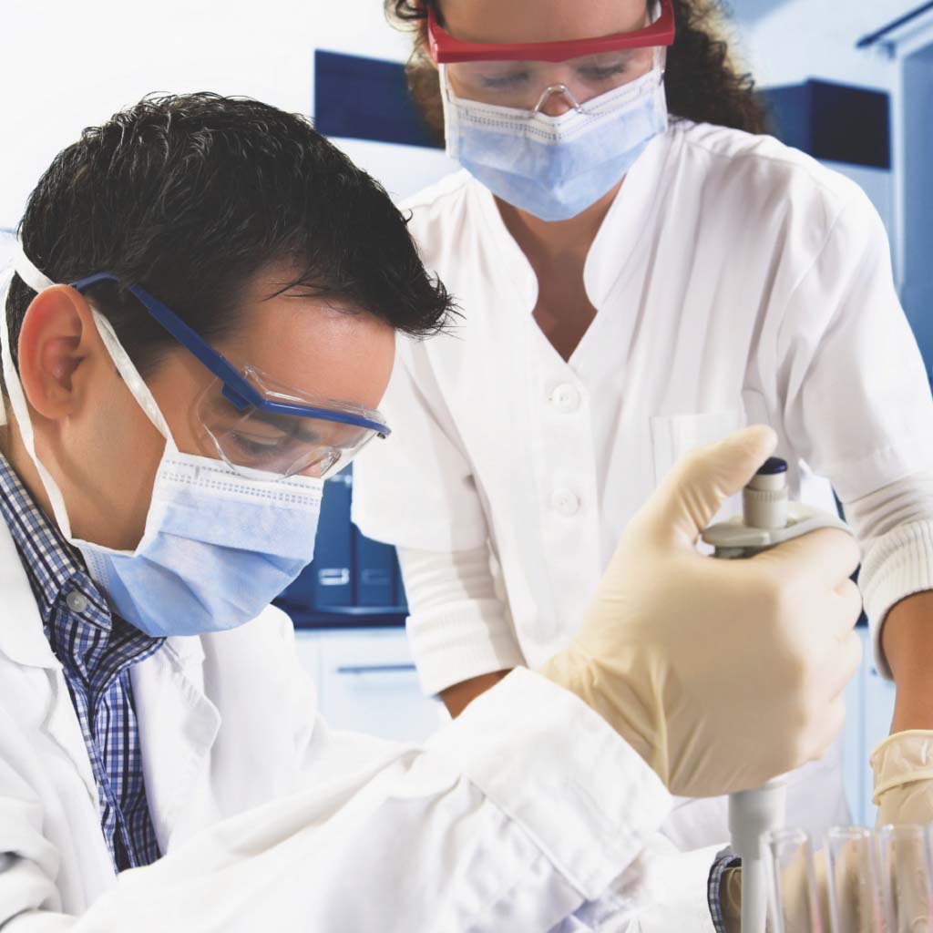 Two scientists in a lab for in vitro induction study