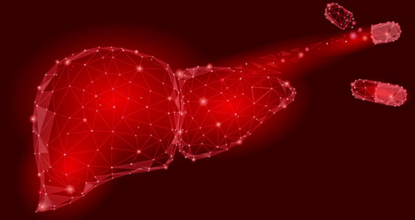 BioTransformation-in-Liver
