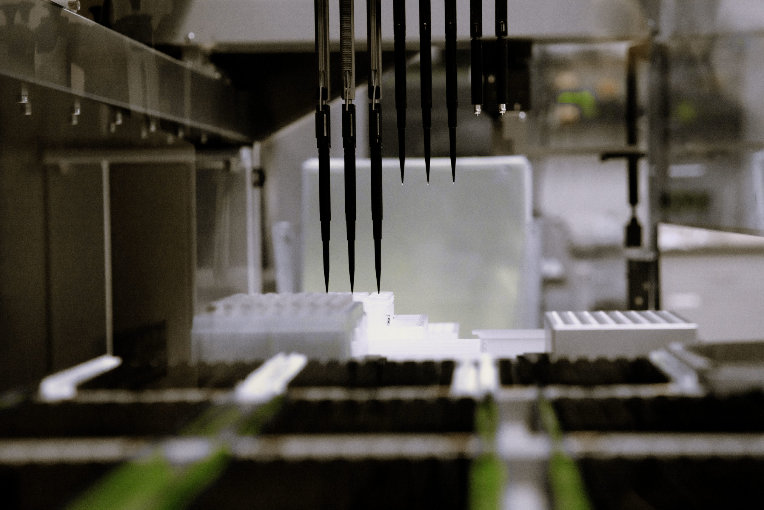 Service offerings include bioanalytical services, in vitro and in vivo studies, consulting, and more