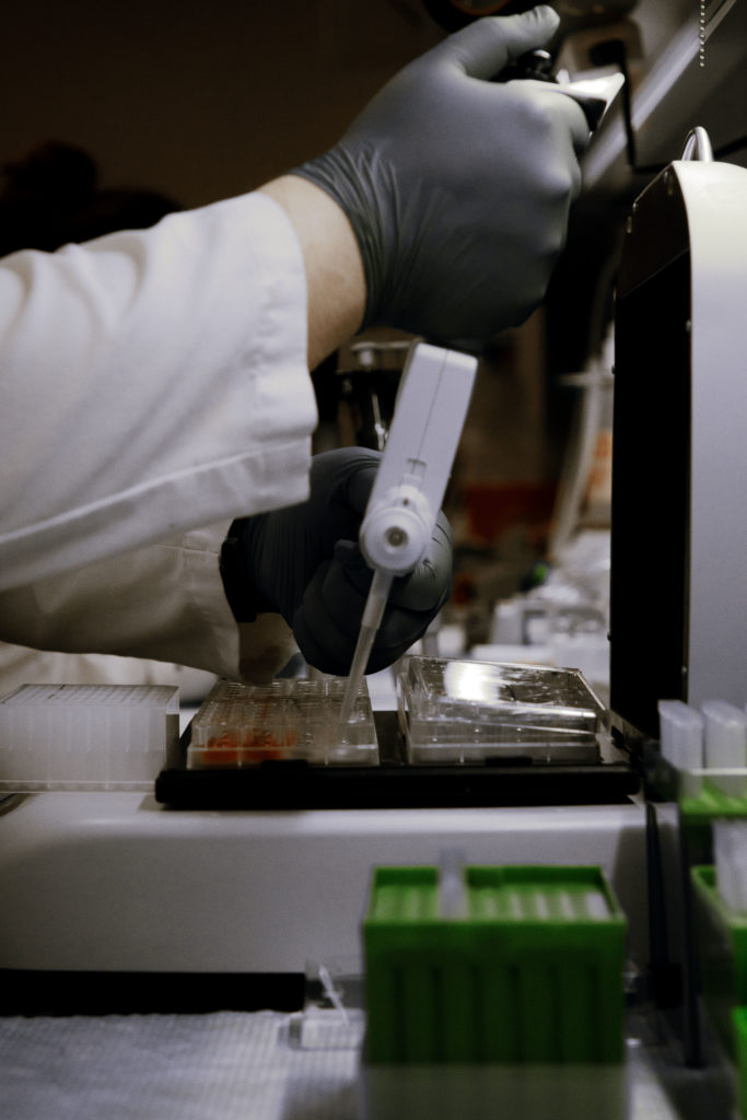In vitro drug transporters being used
