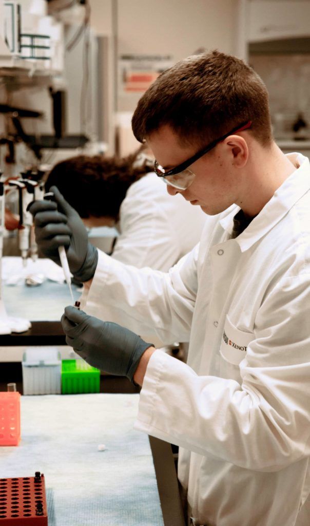 CYP inhibition medium-throughput screening assays offer drug developers data quickly to determine if their drug candidate may down-regulate drug-metabolizing enzymes
