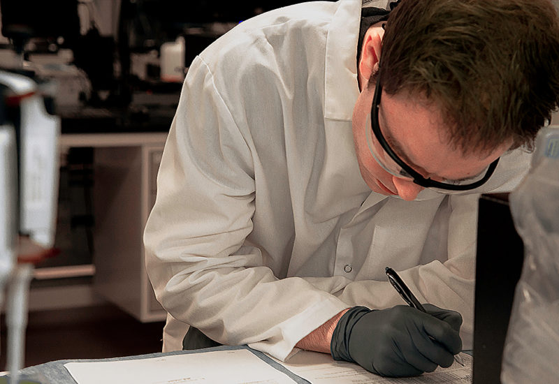 Study director analyst in vitro ADME studies