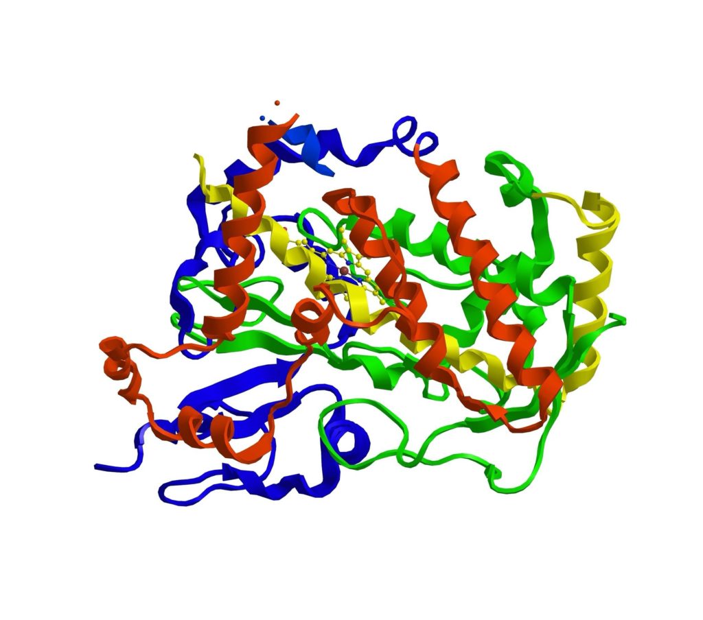 Cytochrome p450 (CYP) induction studies can inform DDI potential of a drug compound