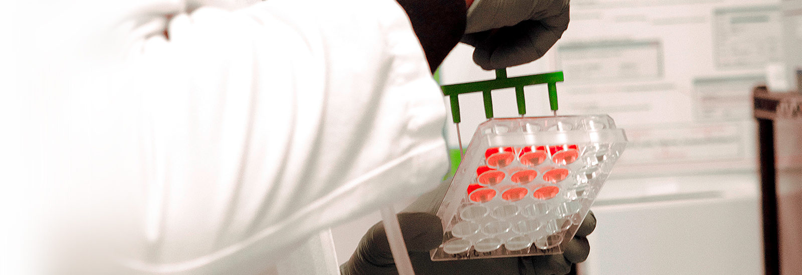 nonclinical ADME/DMPK/DDI studies available
