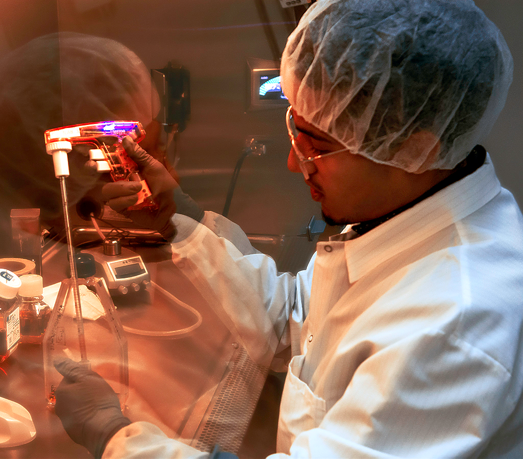 CYP induction assays can inform DDI potential of a drug compound during preclinical development