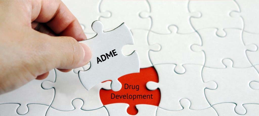 ADME and DMPK play critical roles in assessing drug safety