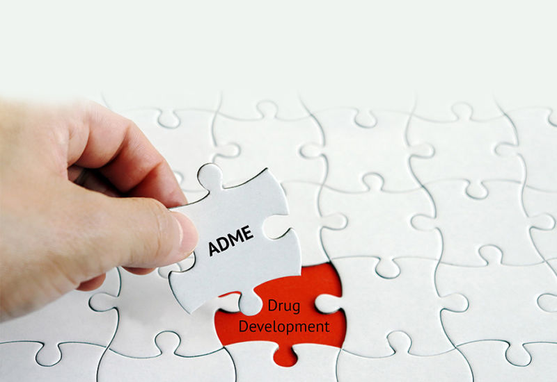 ADME and DMPK play critical roles in assessing drug safety