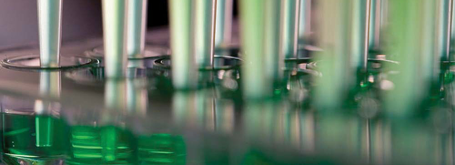 Human antibodies, including monoclonal and polyclonal, are used for inhibition and immunoblot applications
