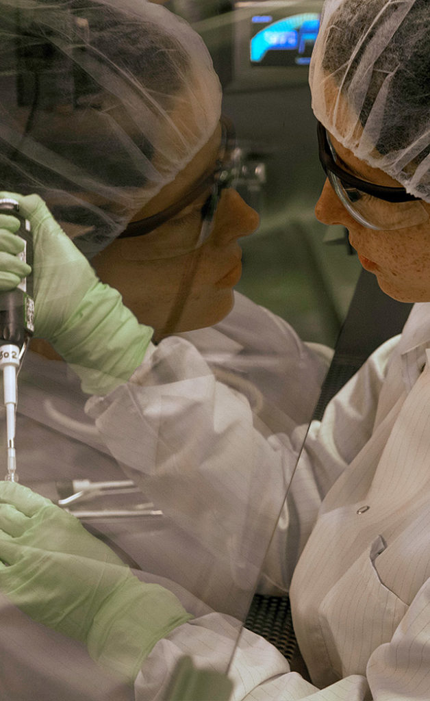In vitro studies can evaluate your drug's potential to interact with ABC or SLC transporter