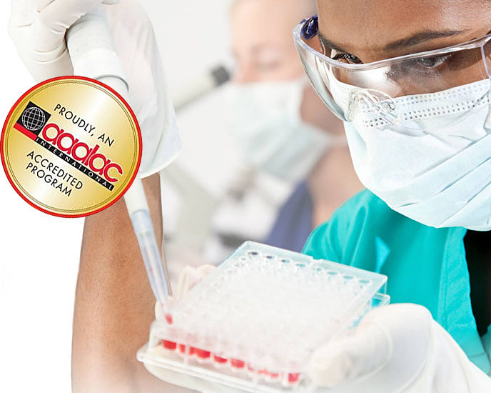 In Vivo Plasma Protein Binding (PPB) Assay for Preclinical Drug Development
