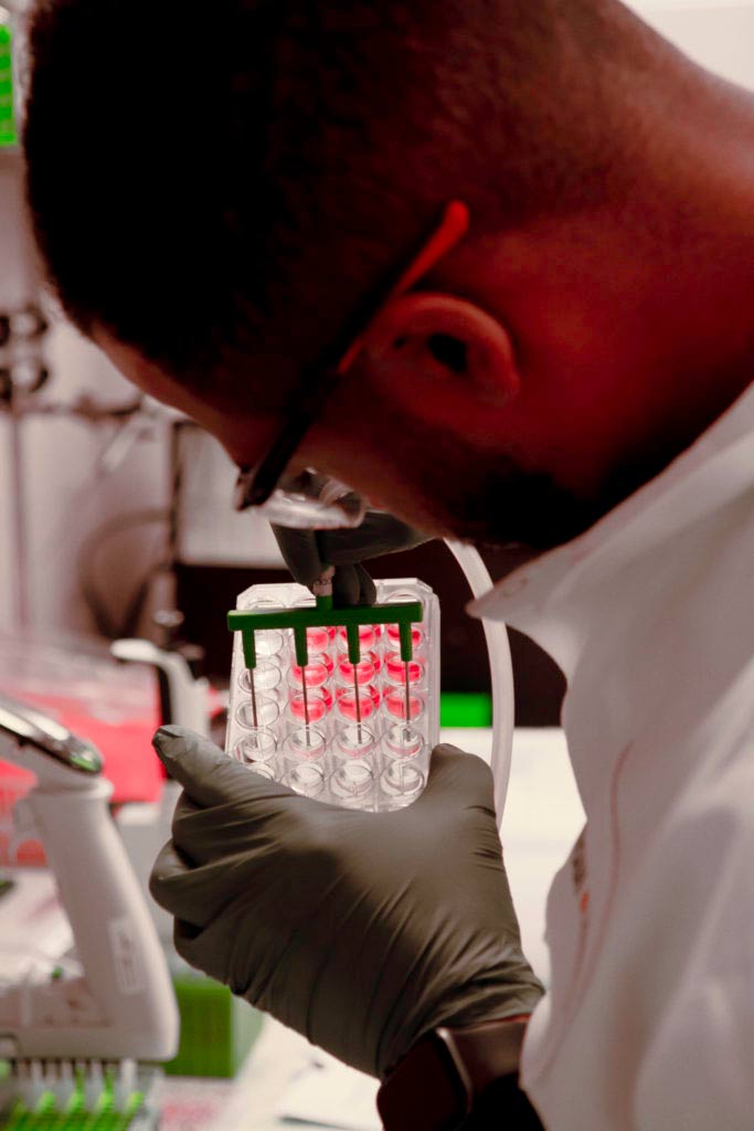 In vitro drug metabolism and drug transporter assays for DDI risk in drug repurposing