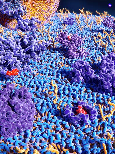 Drug Metabolism Non-CYP Enzymes