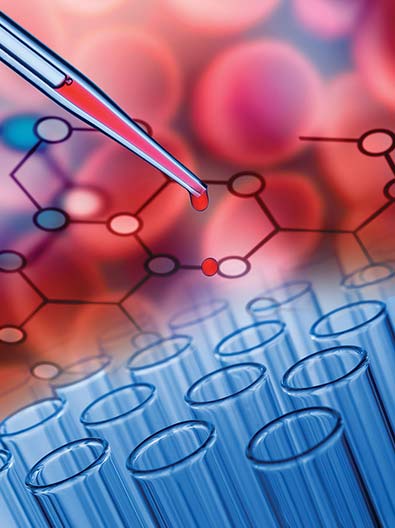 Red Blood Cell Plasma Protein Binding